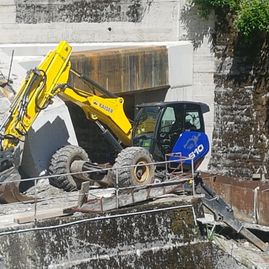 Erdbewegungen- Schreitbagger Handl Mike 12
