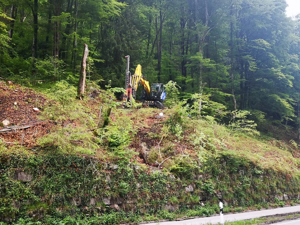 Erdbewegungen- Schreitbagger Handl Mike 8
