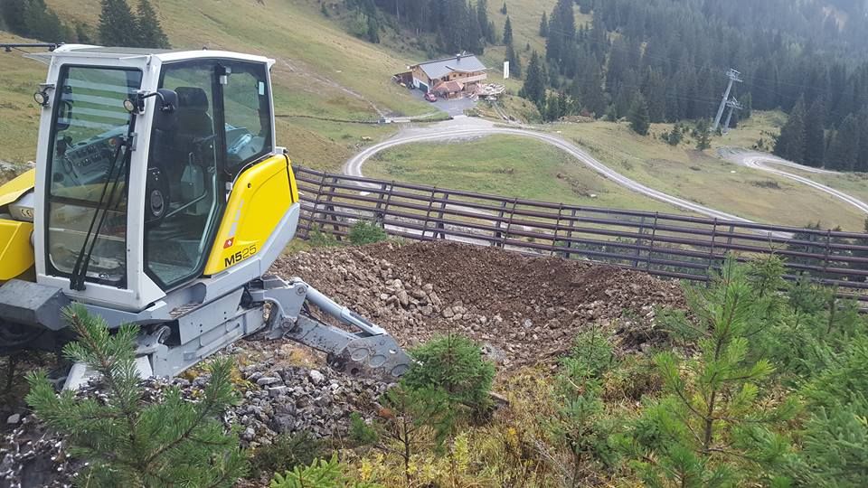 Erdbewegungen- Schreitbagger Handl Mike 2