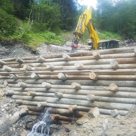 Erdbewegungen- Schreitbagger Handl Mike 16