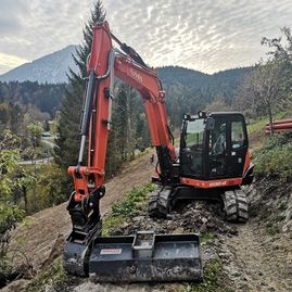 Erdbewegungen- Schreitbagger Handl Mike 10/2018