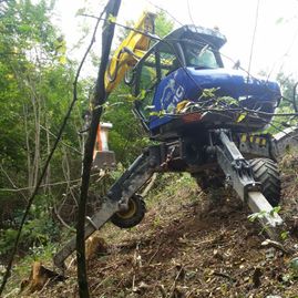 Erdbewegungen- Schreitbagger Handl Mike 19