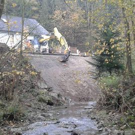 Erdbewegungen- Schreitbagger Handl Mike 16