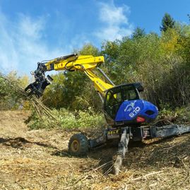 Erdbewegungen- Schreitbagger Handl Mike 25