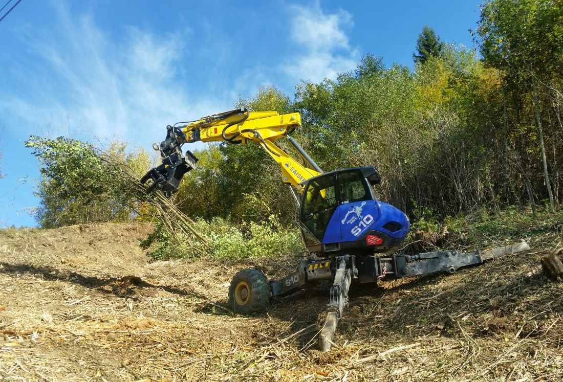 Erdbewegungen- Schreitbagger Handl Mike 25
